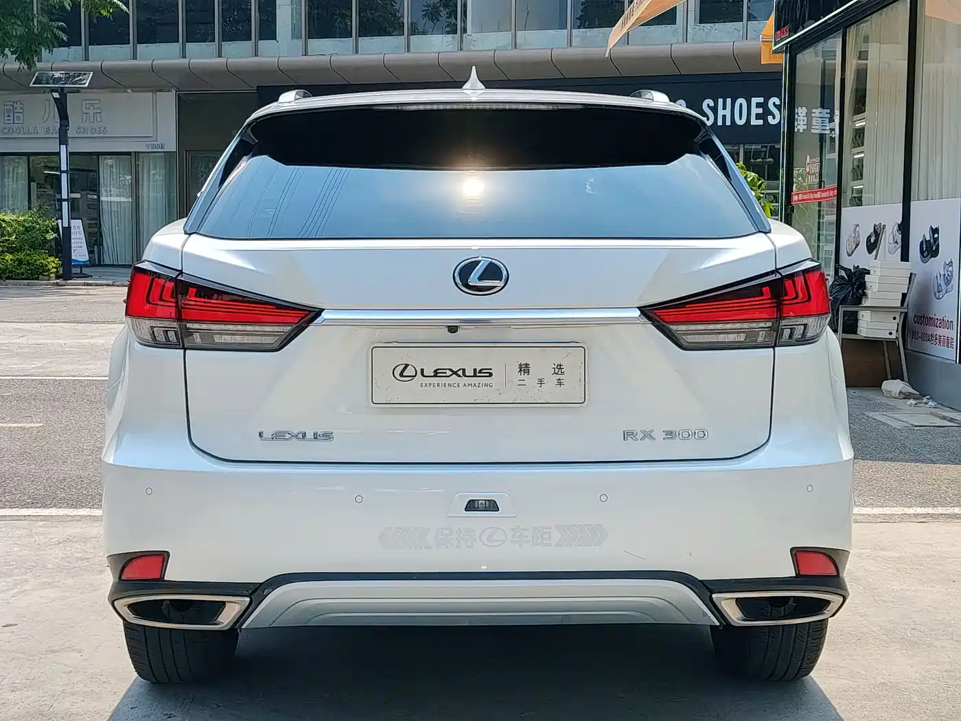 Lexus RX 2020 300 4WD Elegance Edition China VI фото 5