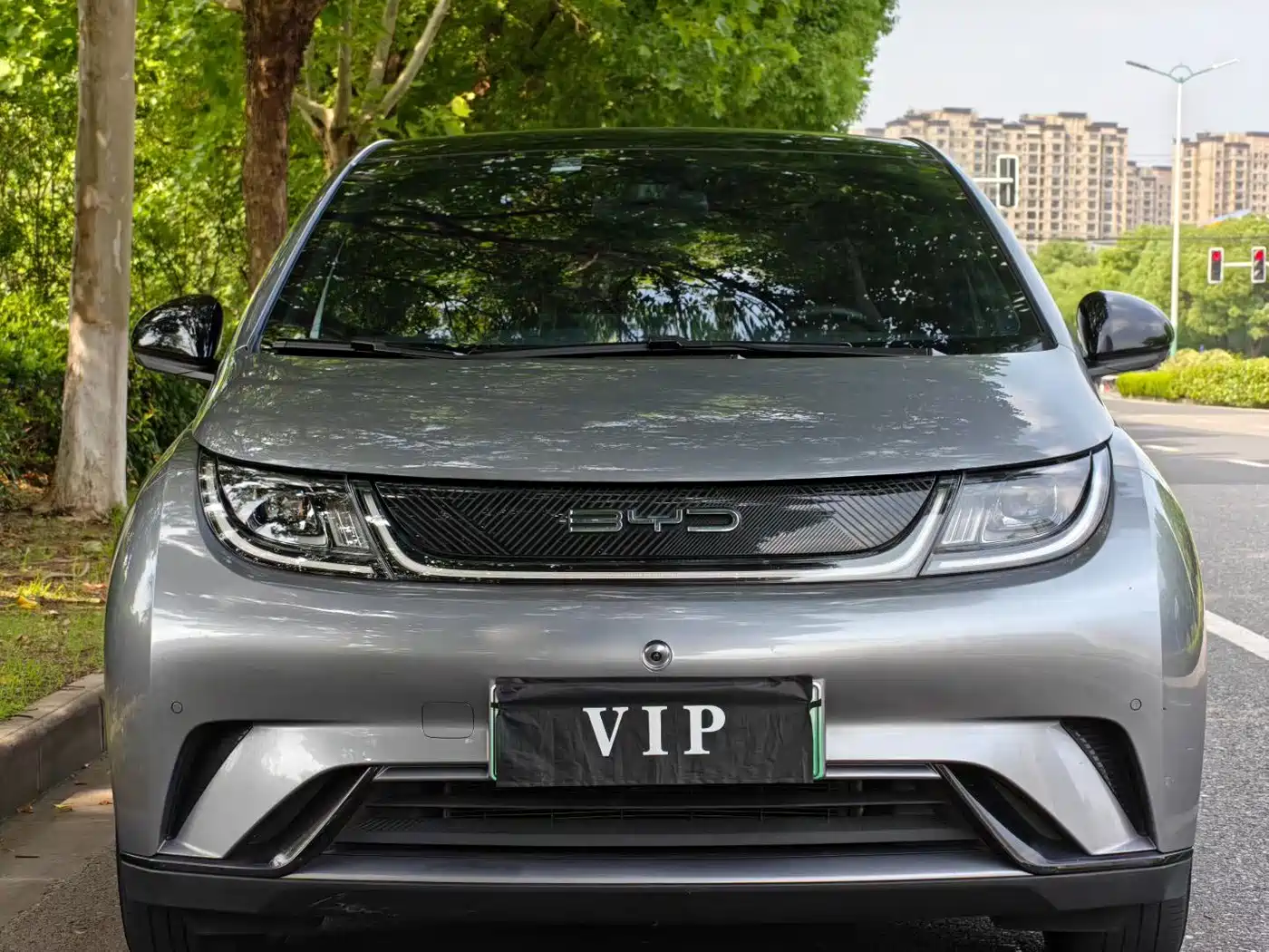 BYD Dolphin 2023 420km Fashion Edition фото 2