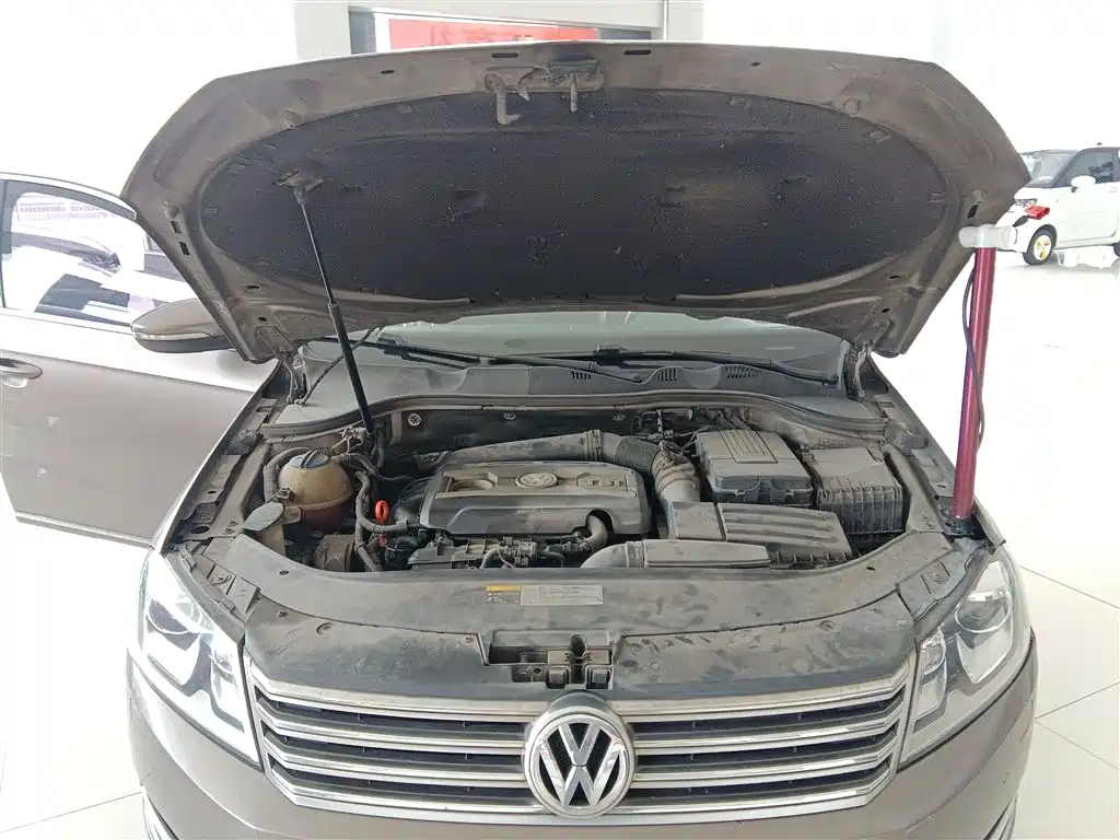 Volkswagen Magotan 2013 1.8TSI Luxury фото 16