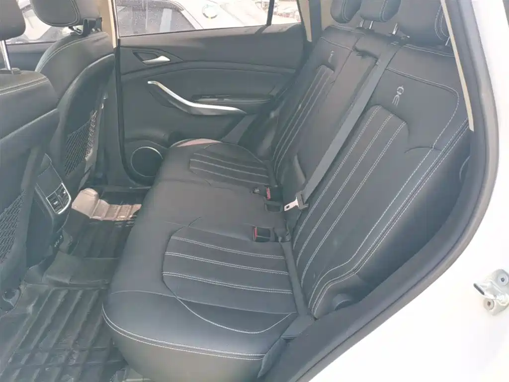 BYD Song New Energy 2019 Song DM 1.5TID Smart Connection Sharp фото 17