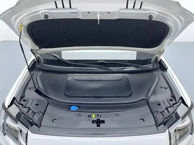 Aion V 2024 2024 Aion T-Rex 520 Smart Luxury Edition