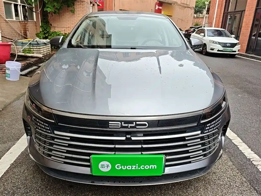 BYD Destroyer 05 2024 Glory Edition DM-i 55KM Luxury фото 3