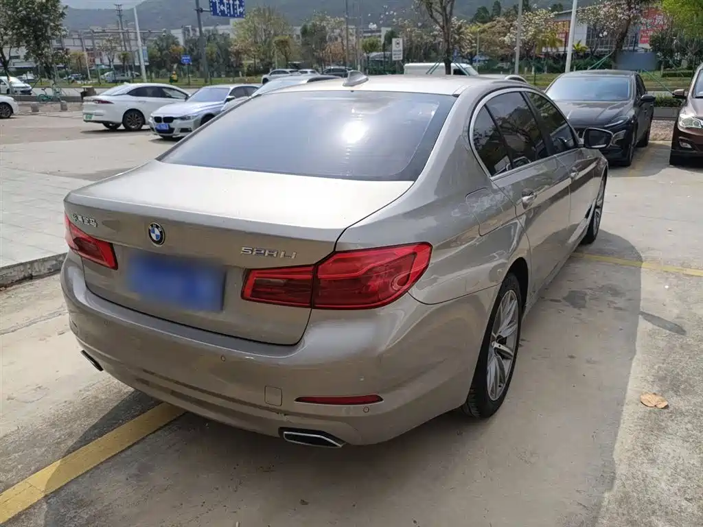 BMW 5 Series 2018 528Li Launch Special Edition фото 7