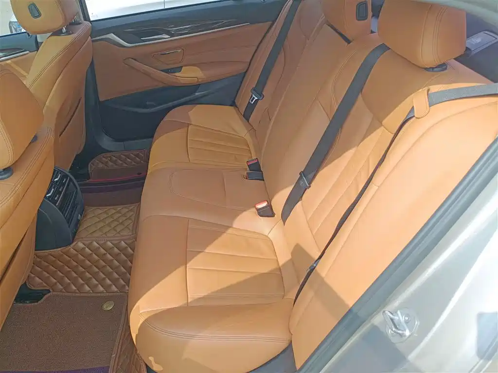 BMW 5 Series 2018 528Li Launch Special Edition фото 16