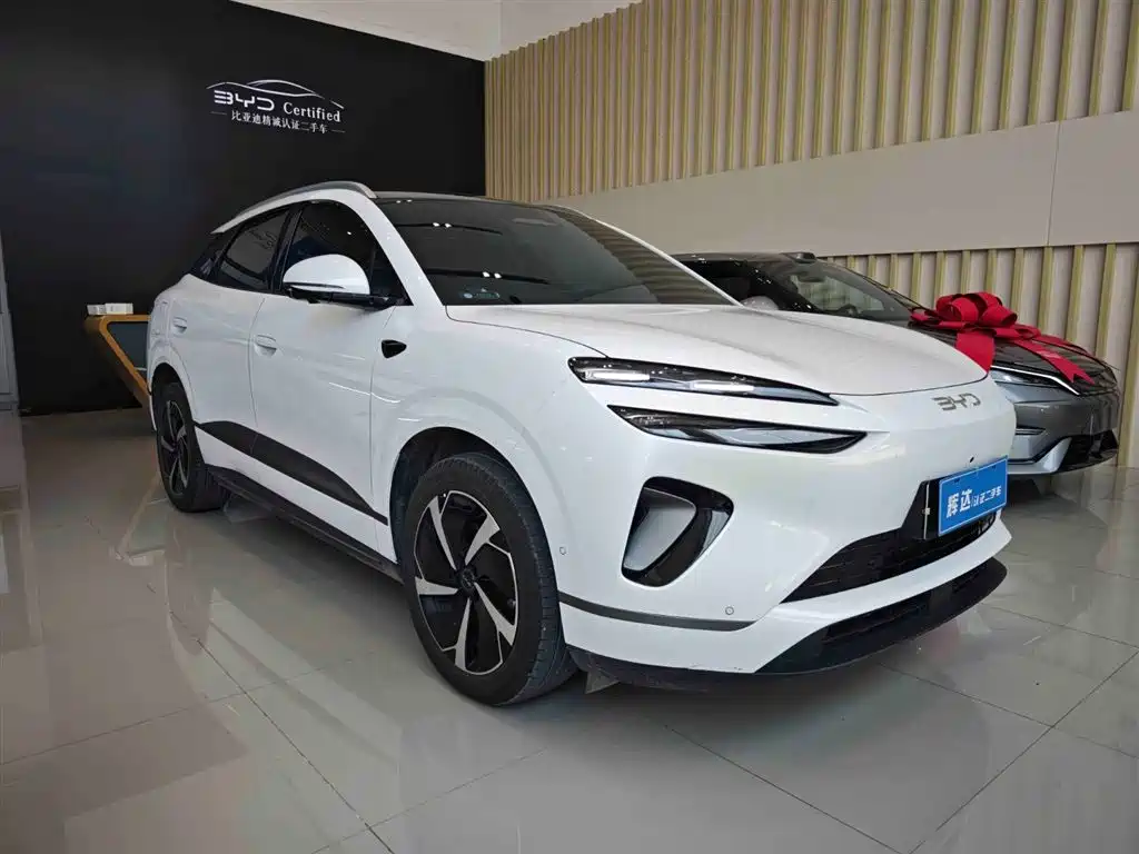 BYD Sealion 06 New Energy 2025 DM-i 170 Pilot Pro Edition фото 3