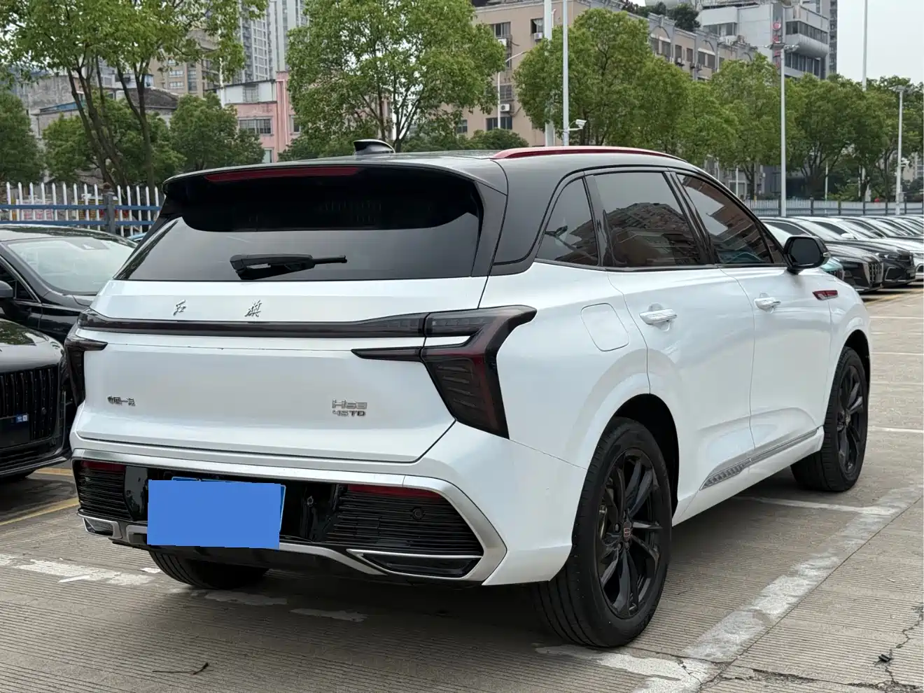 Hongqi HS3 2023 2.0T 4WD Achievement Edition фото 7