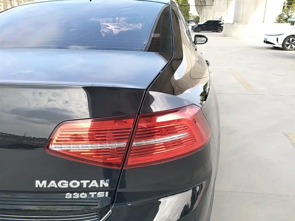 Volkswagen Magotan 2019 330TSI DSG Luxury China V фото 8