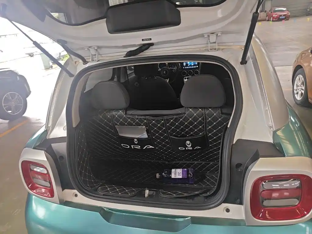 Ora Black Cat 2022 2022 351km Standard (NMC)