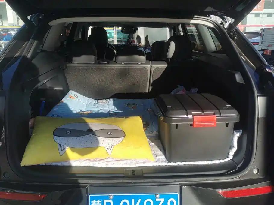 Volkswagen Talagon 2024 380TSI 4WD R-Line Cruise Shared Edition фото 4