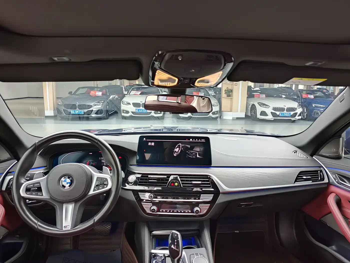 BMW 5 Series 2021 530Li Premium M Sport Package фото 9