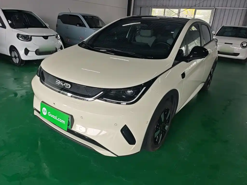 BYD Dolphin 2025