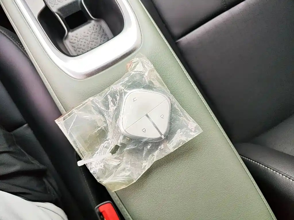 Baojun Yueye Plus 2025 2026 301km Flagship