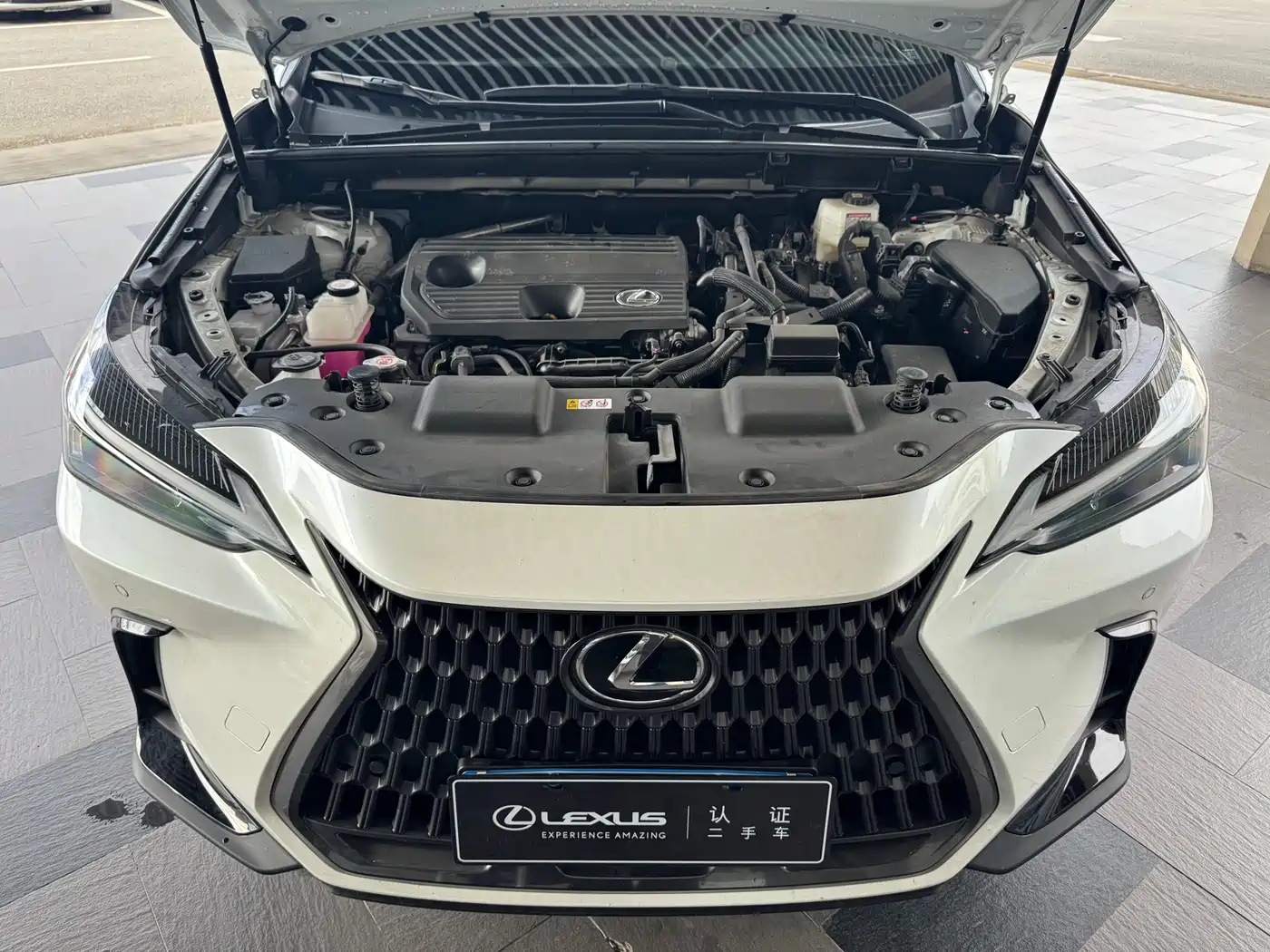 Lexus NX 2024 350h FWD Joy Creation Edition фото 7