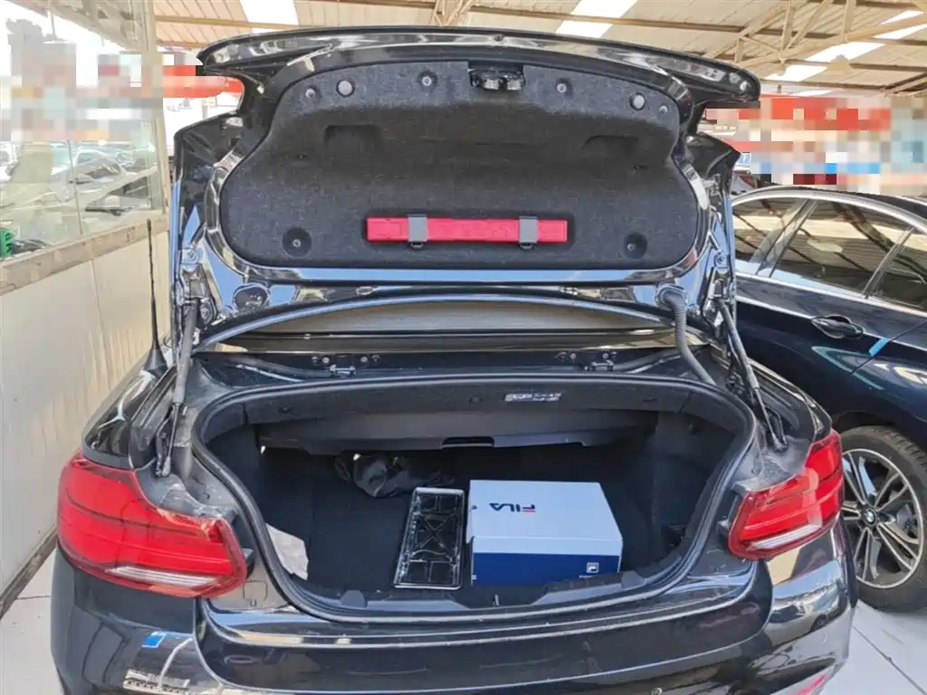 BMW 2 Series (Import) 2018 225i Convertible Coupe Premium M Sport Package фото 19