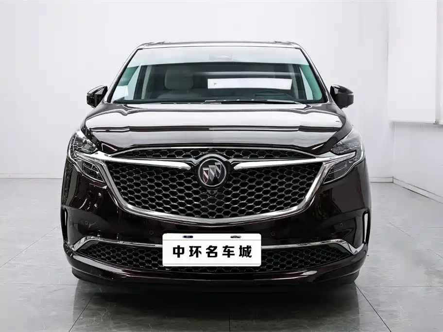 Buick GL8 2020 Avenir Six-Seat Elegance Edition фото 2