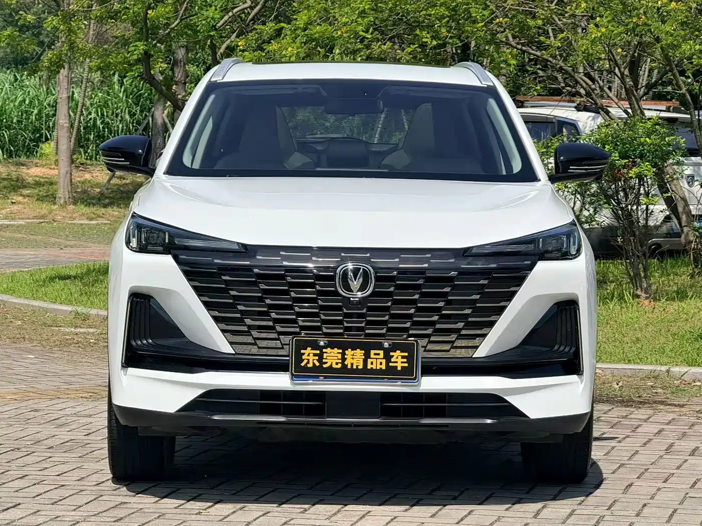 Фото 2 - Changan CS55 PLUS