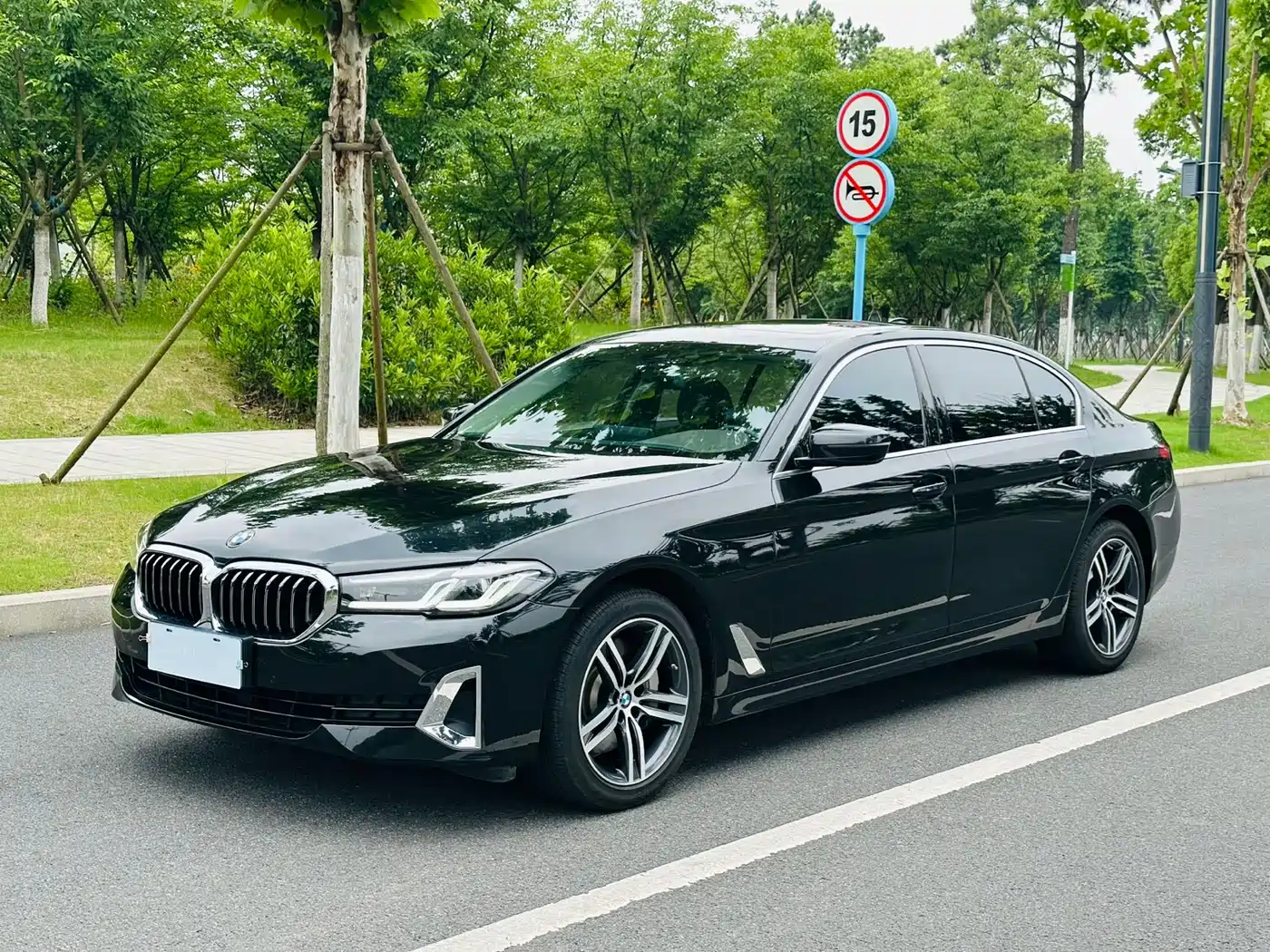 BMW 5 Series 2021 530Li Leading Luxury Package