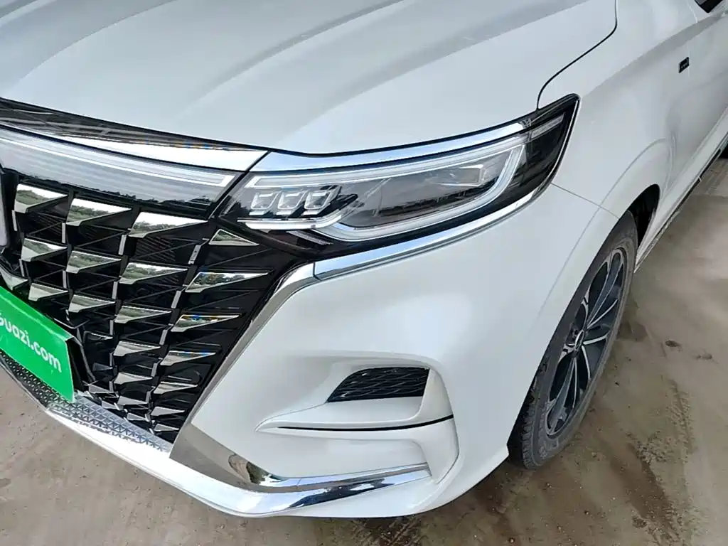 Roewe iMAX8 2024 2023 400TGI Comfort Edition