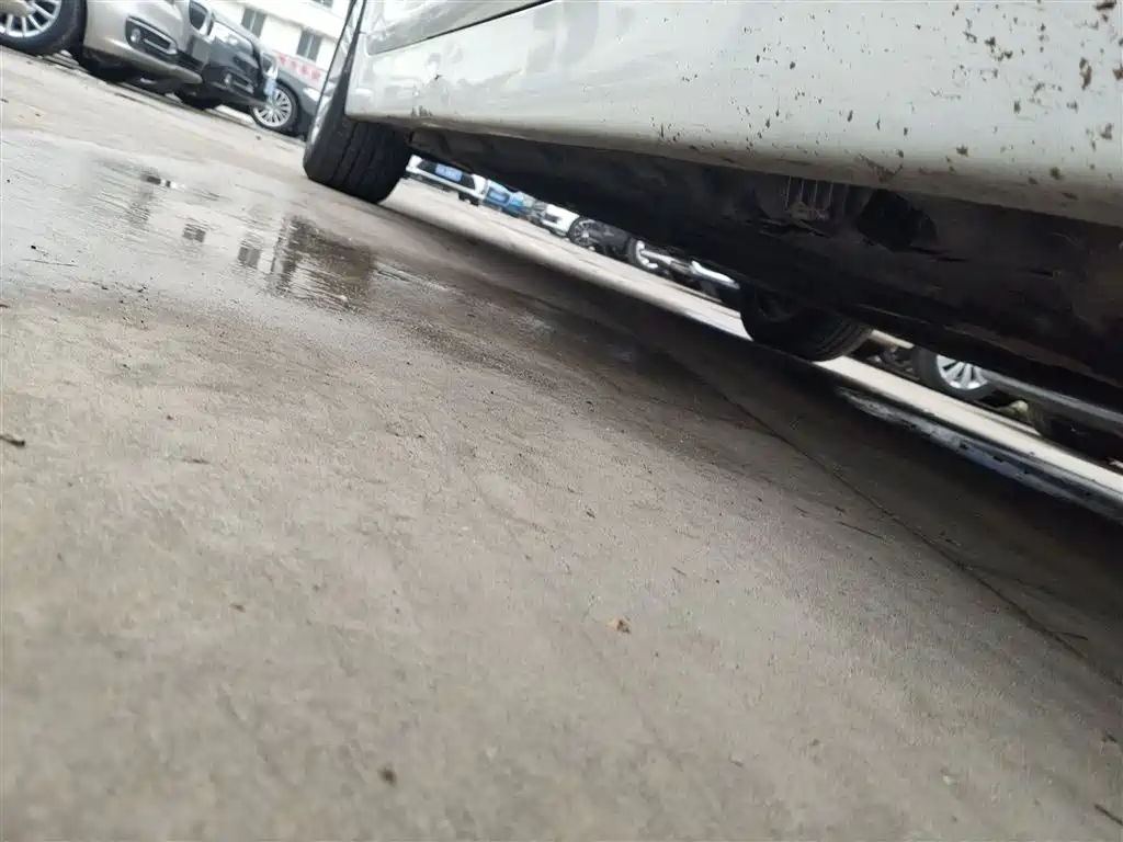 BMW 5 Series 2014 525Li Leading фото 21