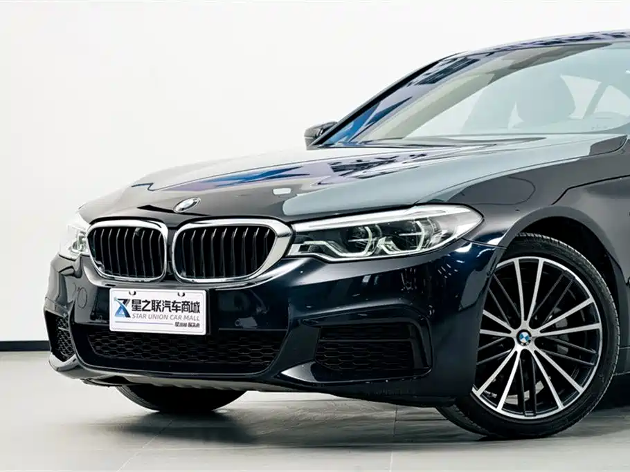 BMW 5 Series 2020 530Li Leading M Sport Package фото 3