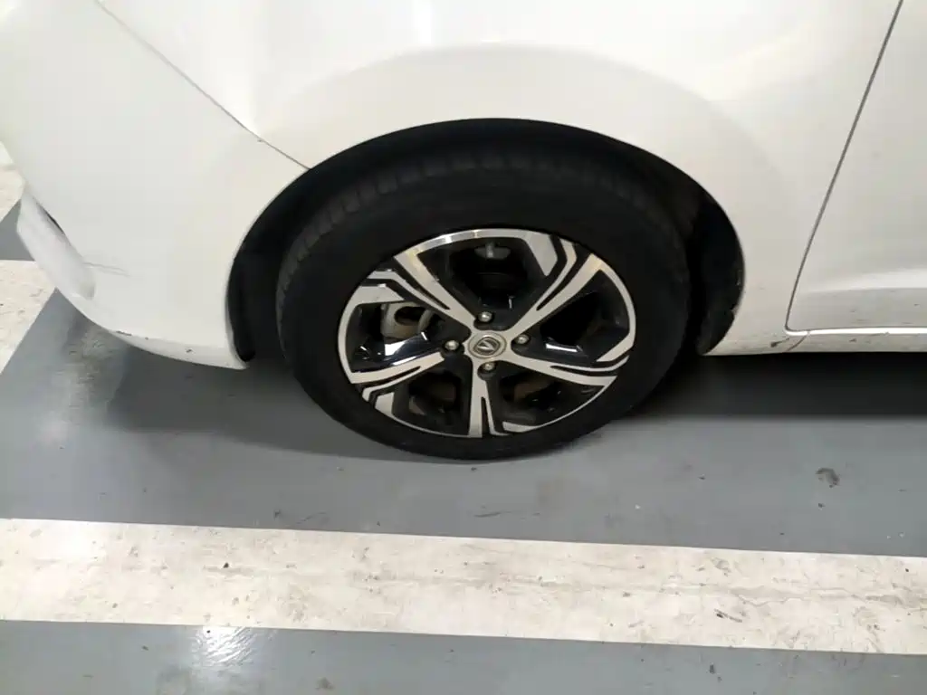 Changan Benben E-Star 2021 2020 Heartbeat Edition (NMC Battery)