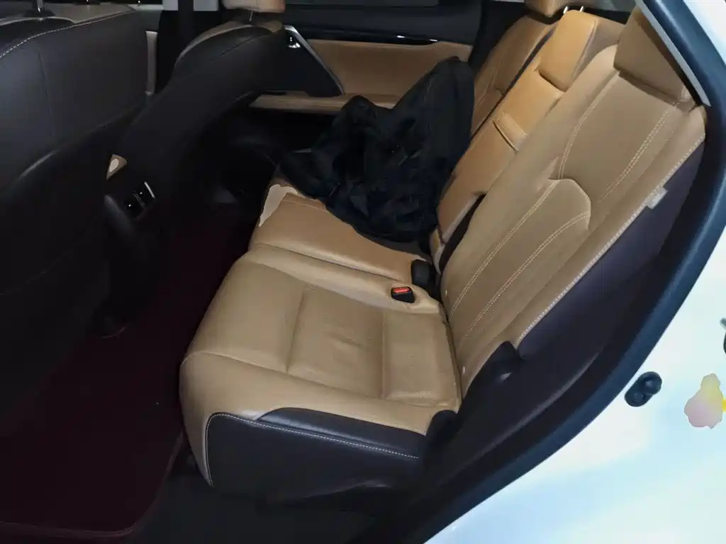 Lexus RX 2016 300 4WD Elegance Edition (China V) фото 18