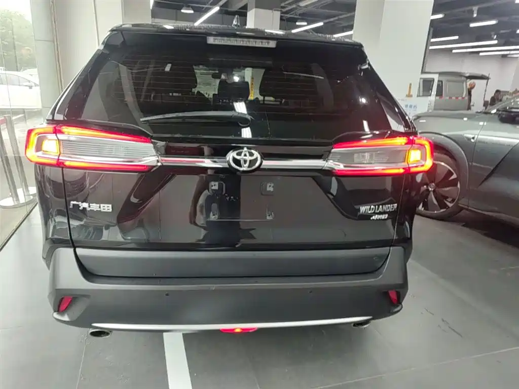Toyota Wildlander 2020 2.0L CVT AWD Luxury Edition фото 6