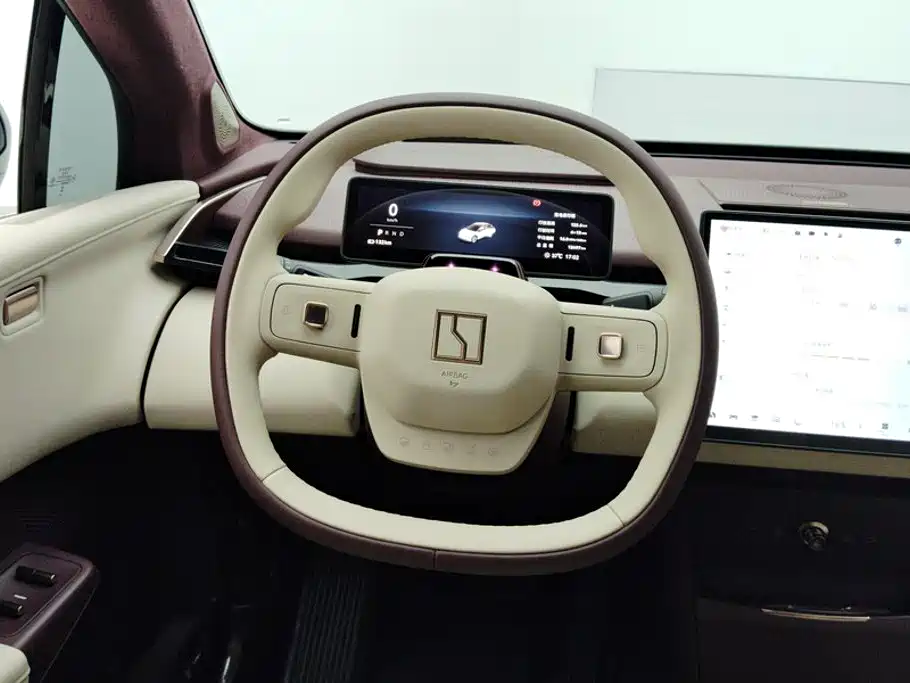 ZEEKR X 2025 2025 5-Seater RWD Edition