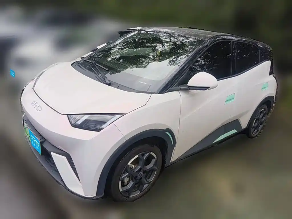 BYD Seagull 2025