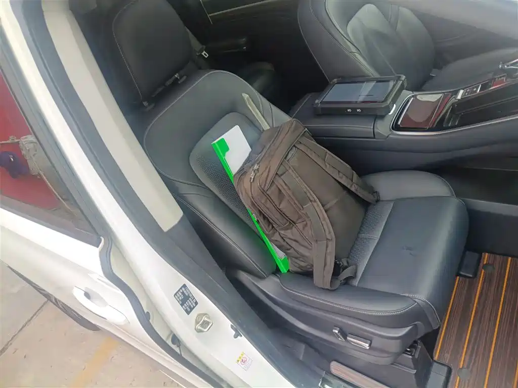 GAC Trumpchi Trumpchi M8 2021 Leading Show Series 390T Ultimate Edition фото 19