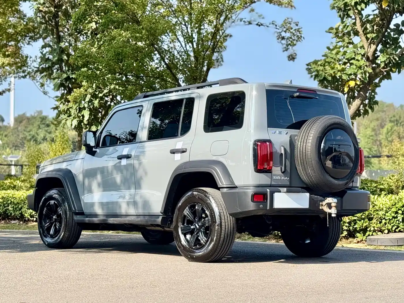 Tank 300 2021 2021 Off-road Version 2.0T Conqueror