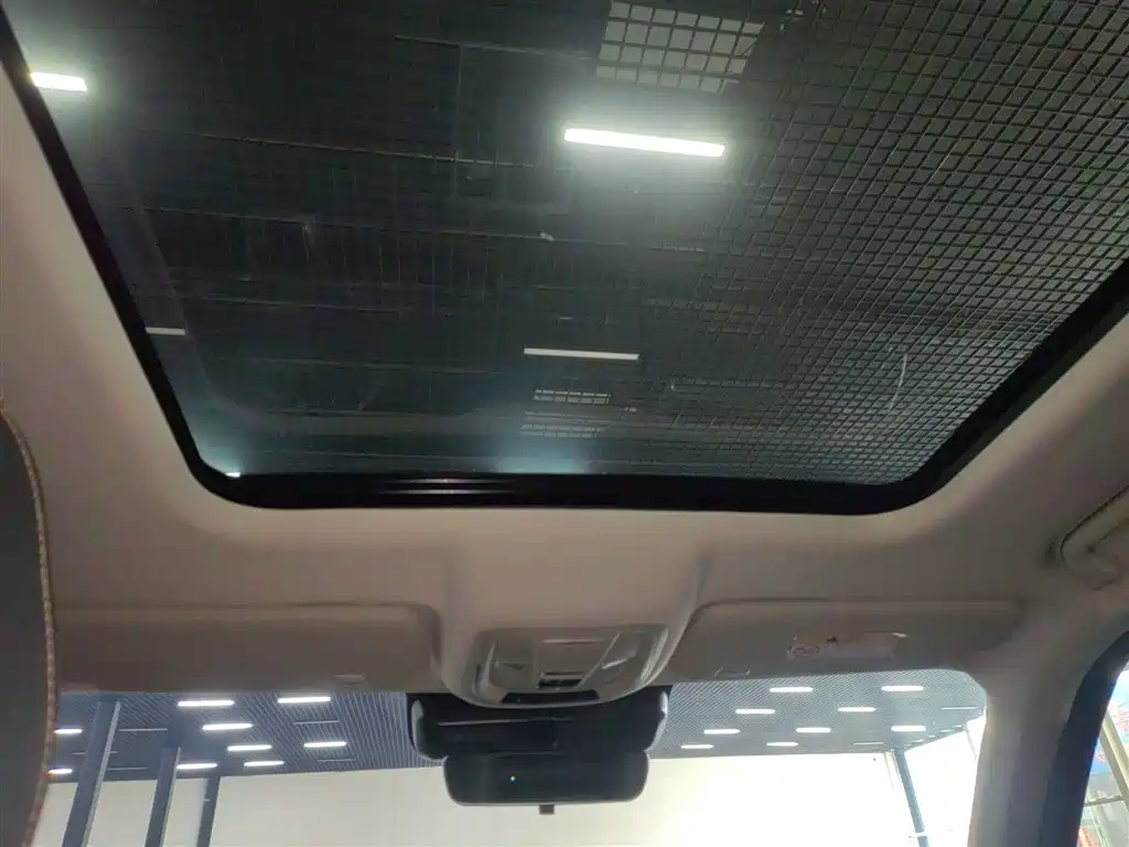 Haval Big Dog 2024 1.5T DCT Border Collie Edition фото 18