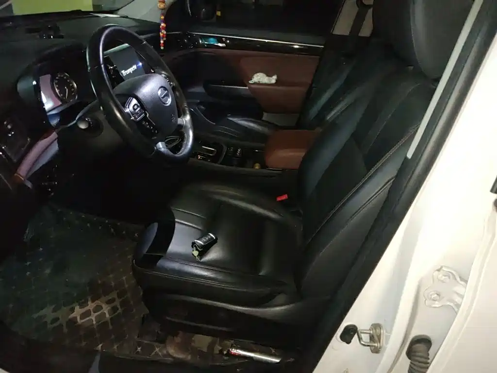 GAC Trumpchi Trumpchi GS8 2017 320T 2WD Luxury Smart Connect (7-seater) фото 16