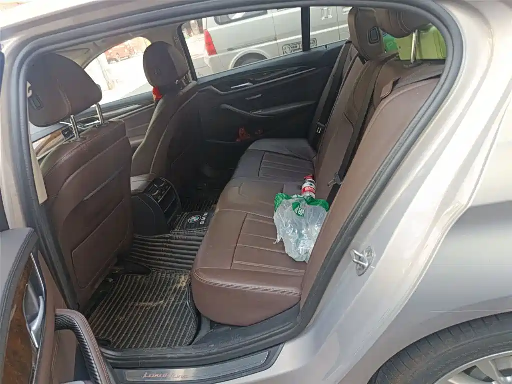 BMW 5 Series 2019 525Li Luxury Package фото 15