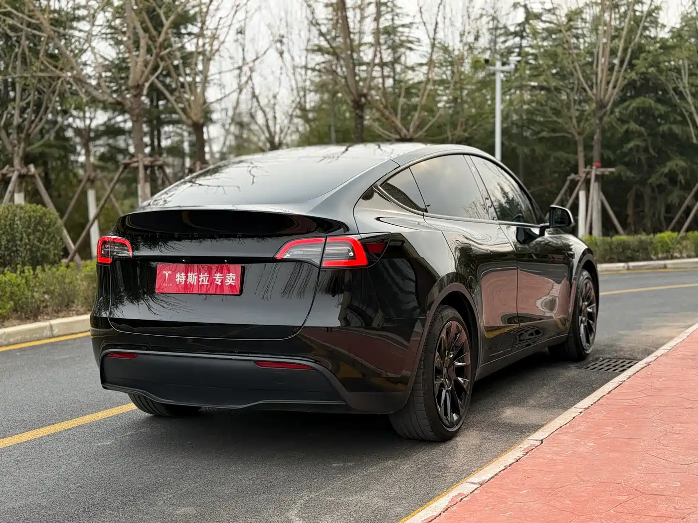 TESLA MODEL Y