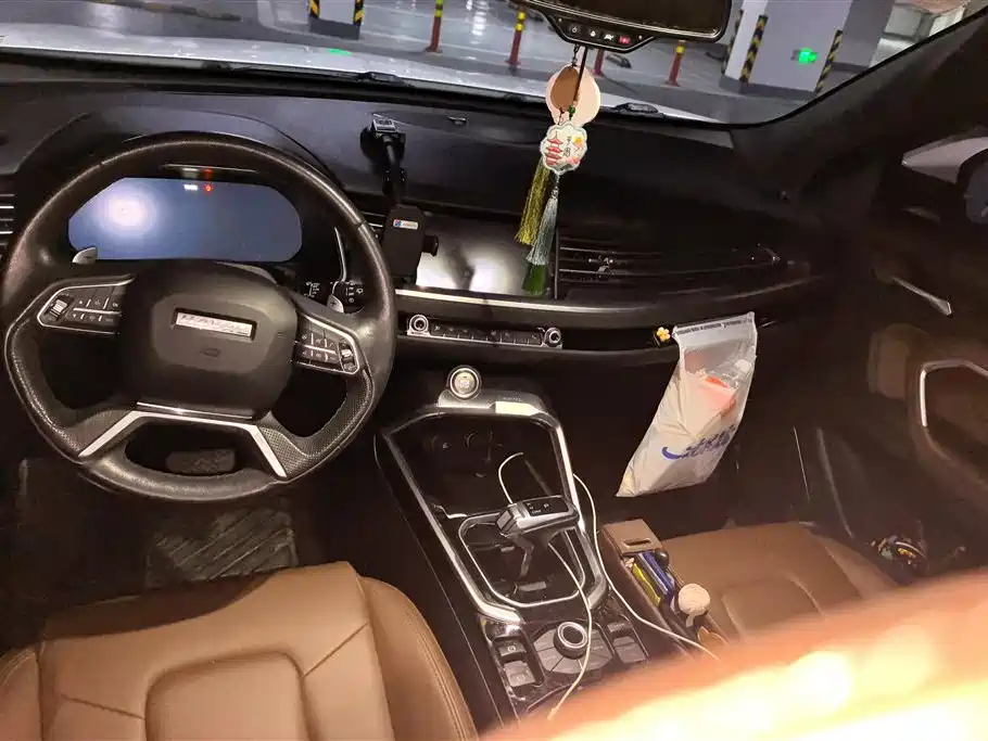 Haval H6 2017 Blue Label 2.0T Auto 2WD Leader фото 12