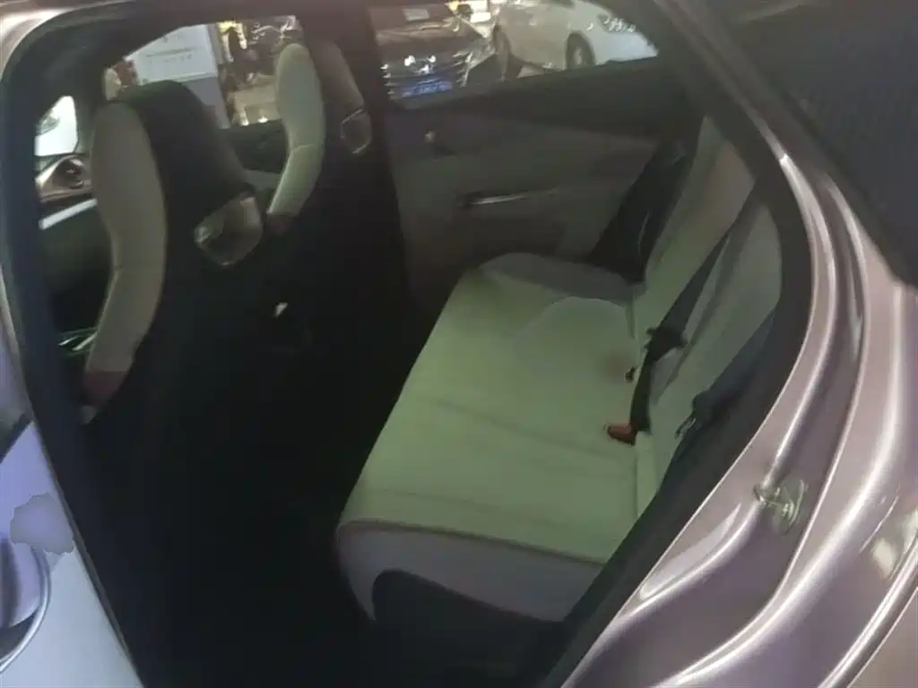 BYD Dolphin 2021 Model 405km Fashion Edition фото 17