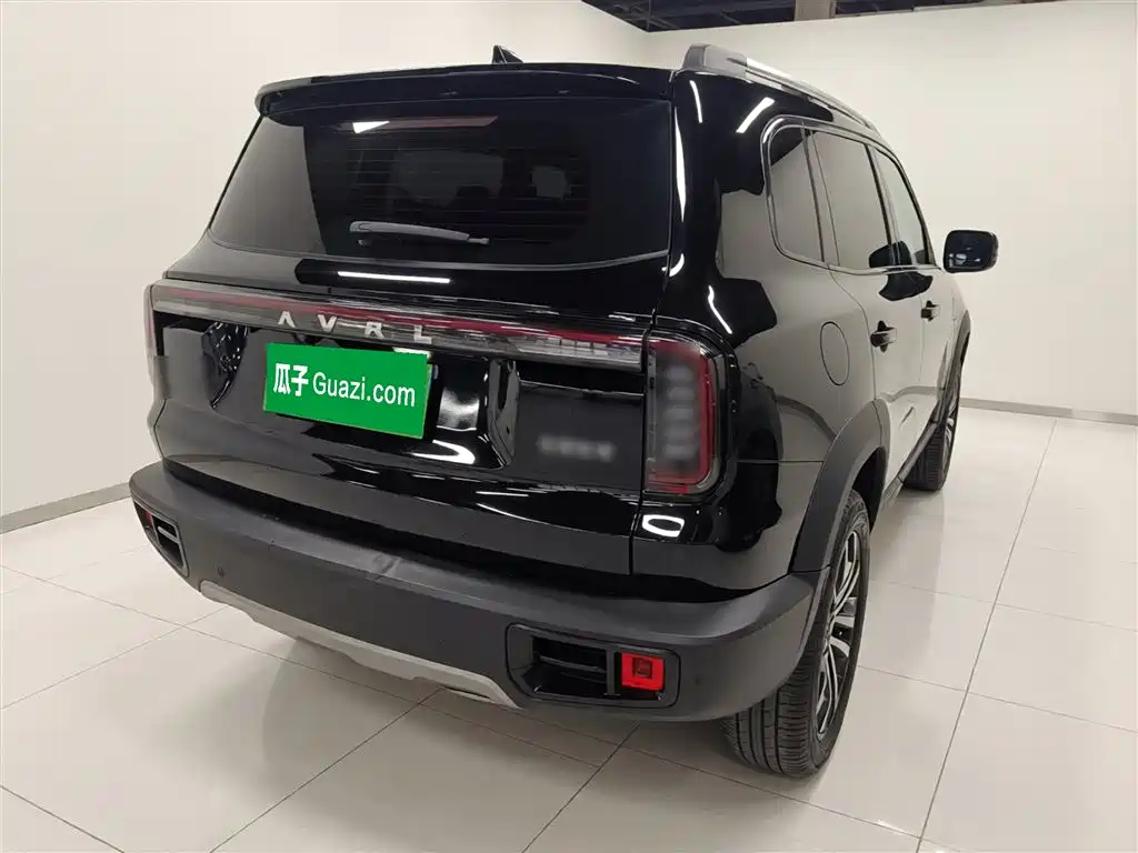 Haval Big Dog 2024 1.5T DCT Border Collie Edition фото 5