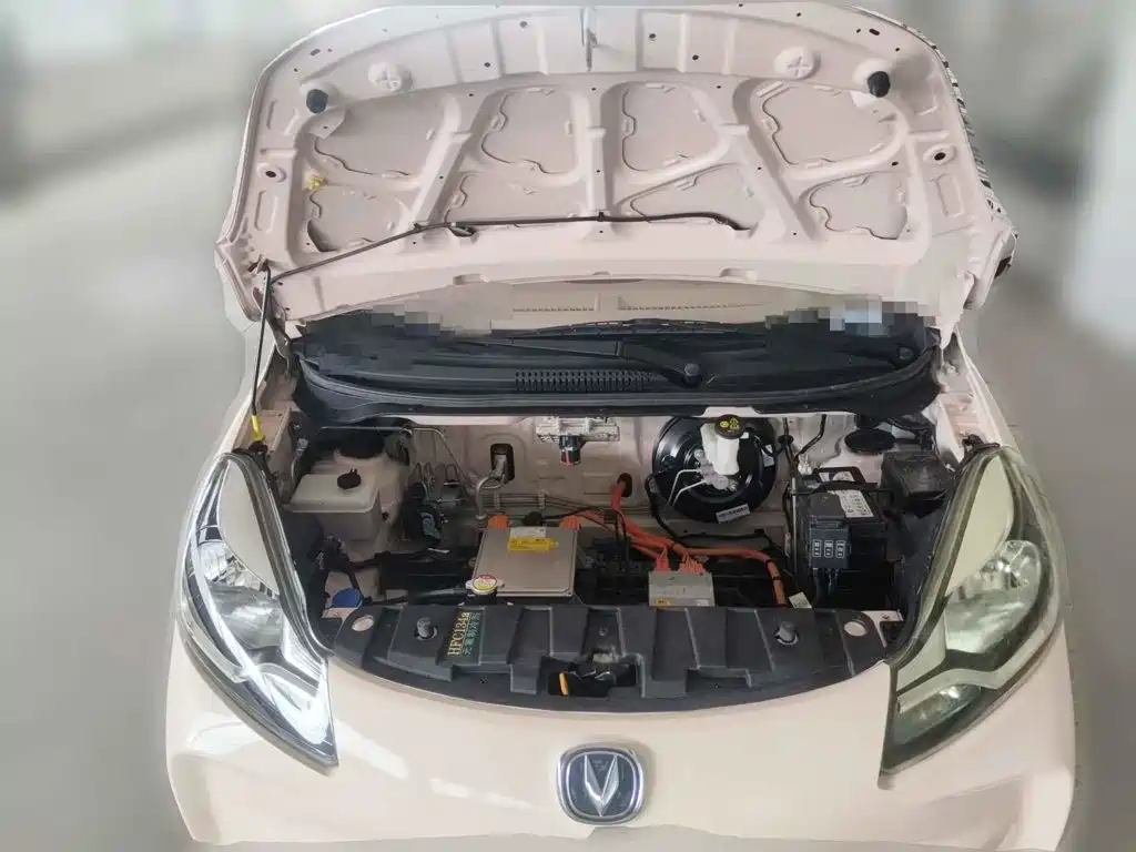 Changan Benben E-Star 2022 2021 National Edition Colorful Version LFP (31.18kWh)