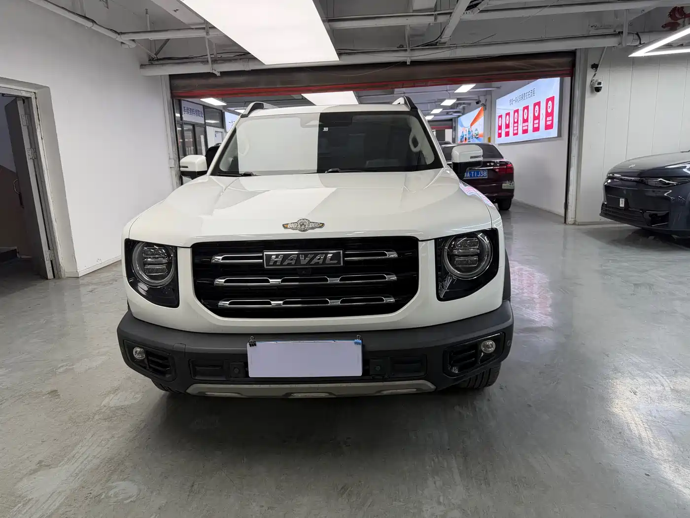 Haval Big Dog 2021 2.0T DCT 4WD Chinese Rural Dog Edition фото 2