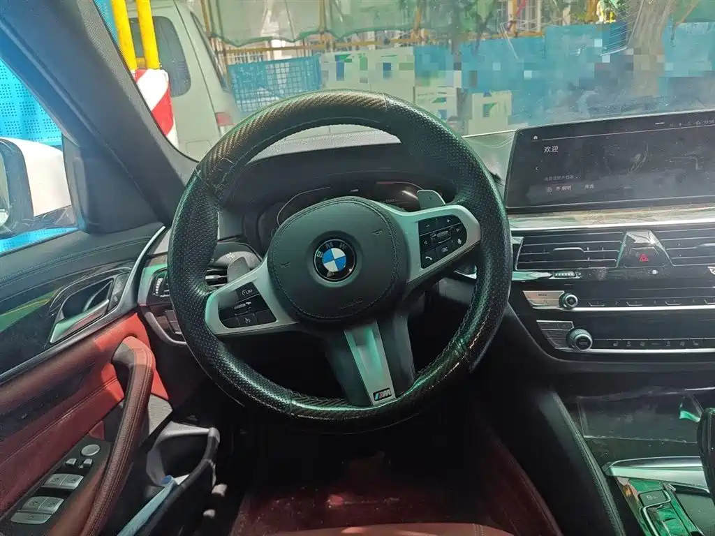 BMW 5 Series 2019 Facelift 530Li Leading M Sport Package фото 6