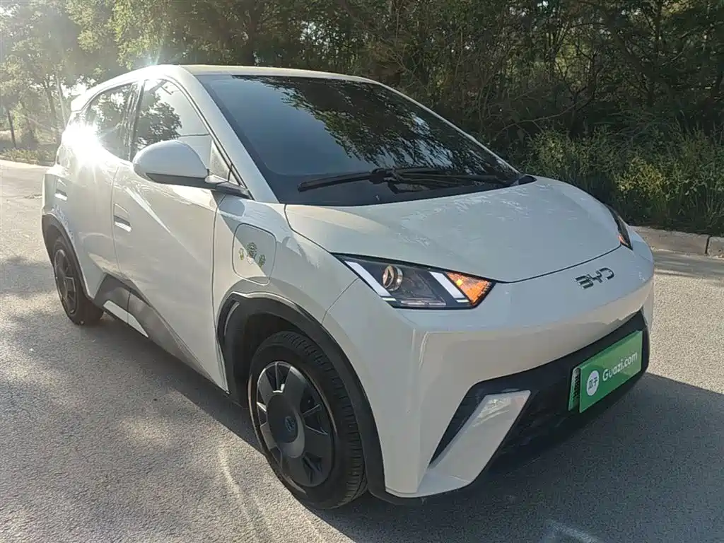 BYD Seagull 2024 Glory Edition 305km Vitality Edition фото 4
