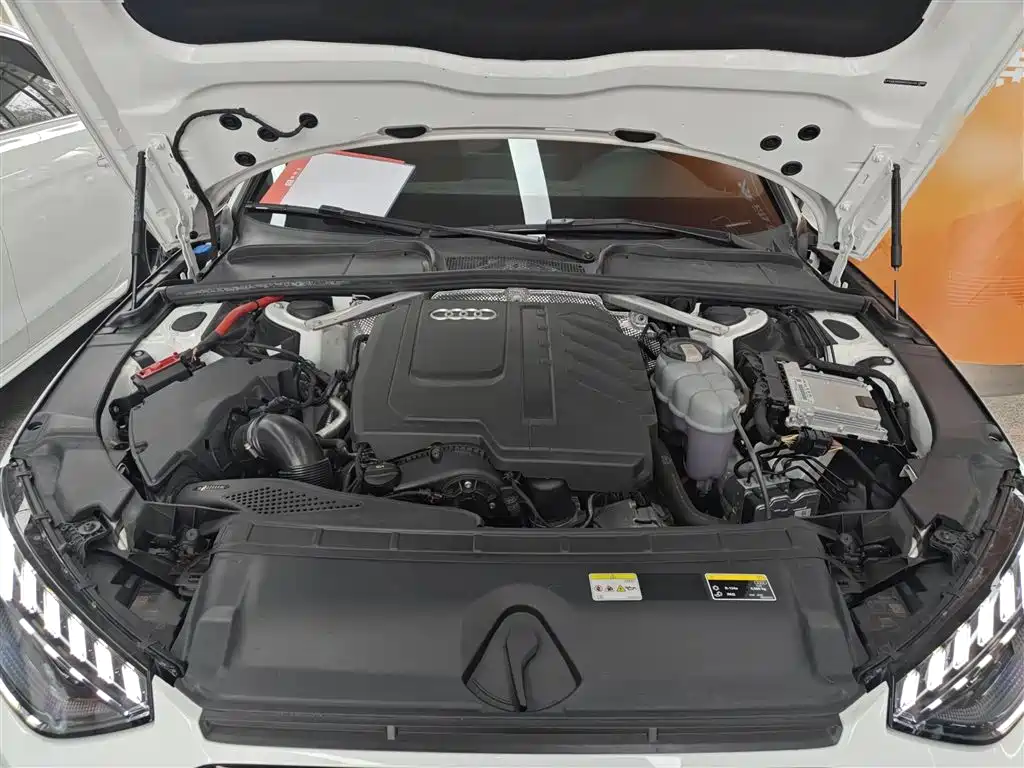 Audi A4L 2024 40 TFSI Luxury Dynamic (Starry Night Edition) фото 16