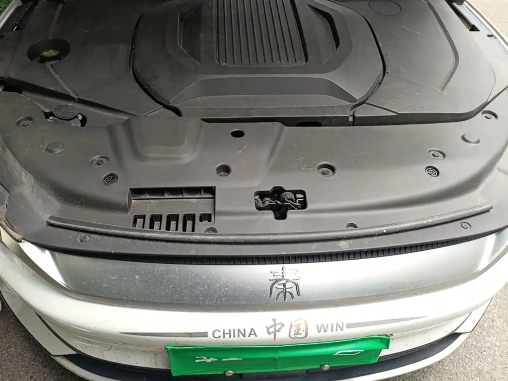 BYD Qin PLUS 2024 Glory Edition EV 510KM Leading фото 11