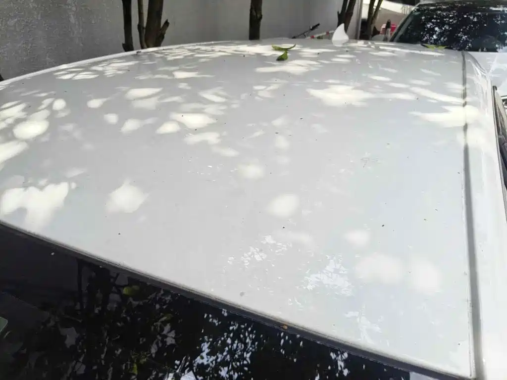 Фото 6 - Buick Velite 6