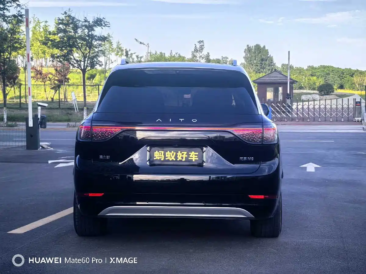 AITO Wenjie AITO M9 2024 Range Extender Max Edition 42kWh 6-seater фото 6