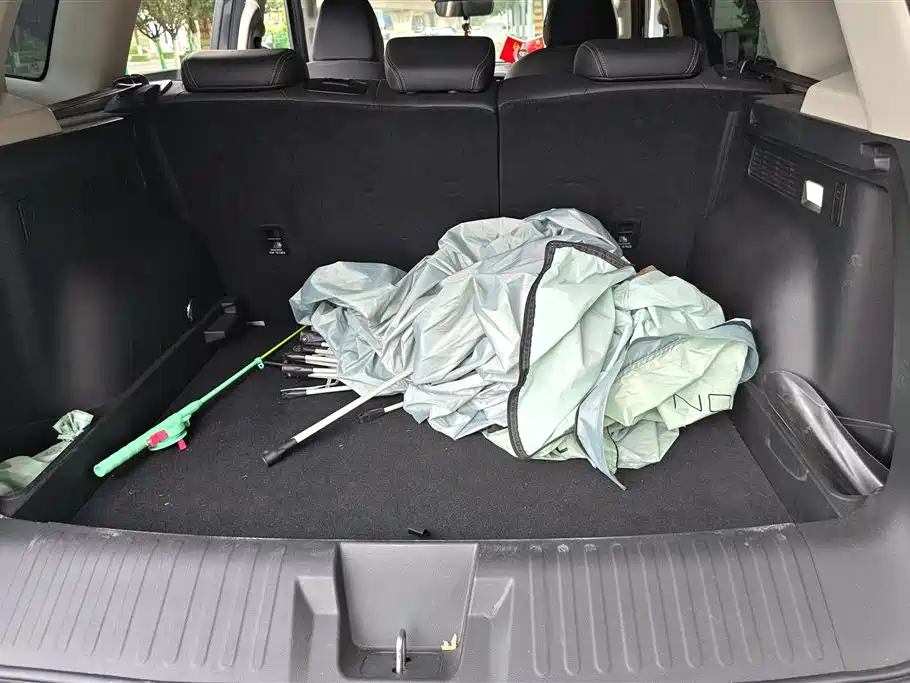 Haval Big Dog 2021 1.5T DCT 2WD Border Collie Edition фото 4