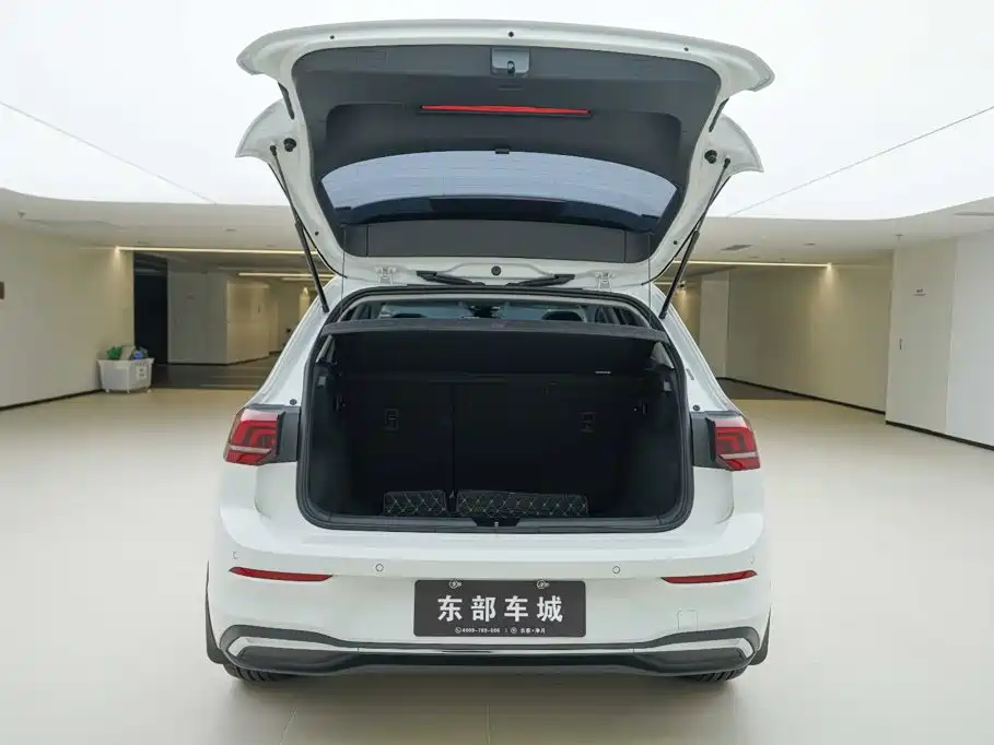Volkswagen Golf 2025 2025 300TSI Pro