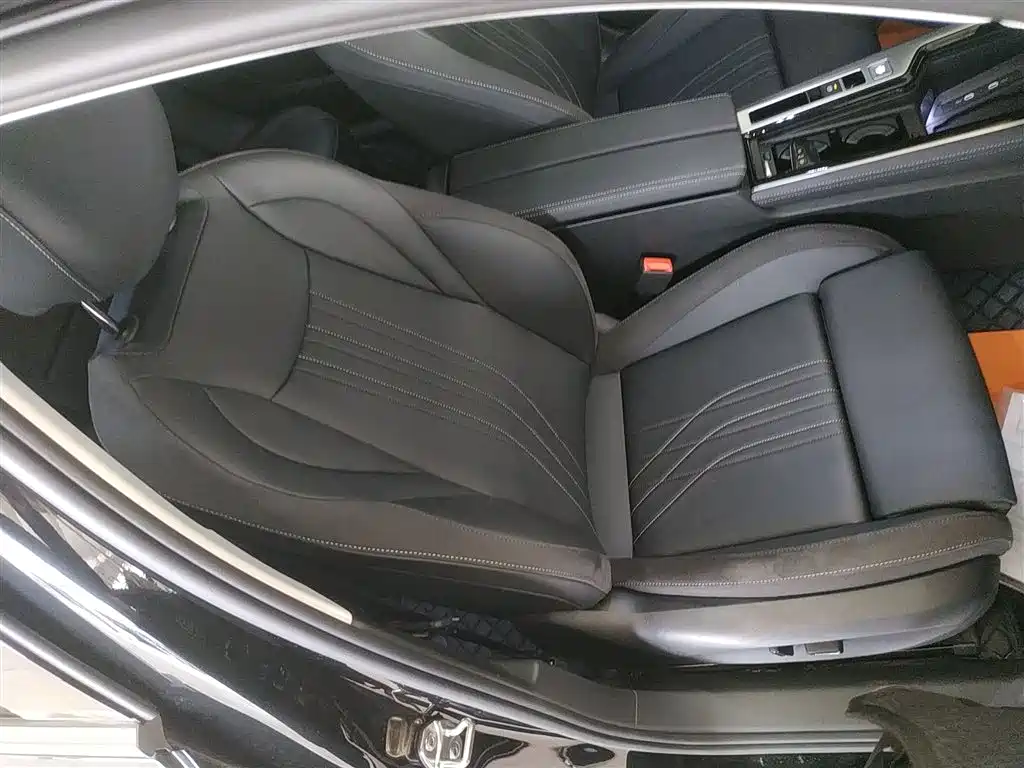 Volkswagen Magotan 2024 300TSI DSG Premium Edition (Eye-catching Package) фото 25
