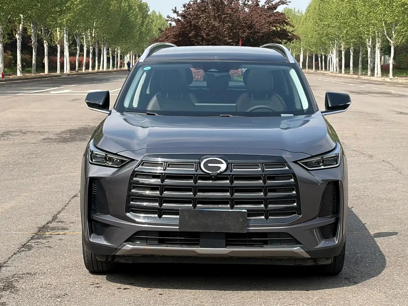 GAC Trumpchi Trumpchi GS4 2024 MAX 1.5T Flagship Edition фото 2